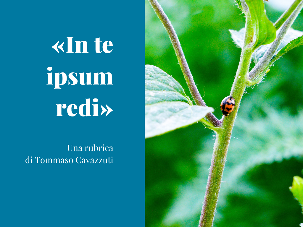 Ecologia integrale e debito ecologico