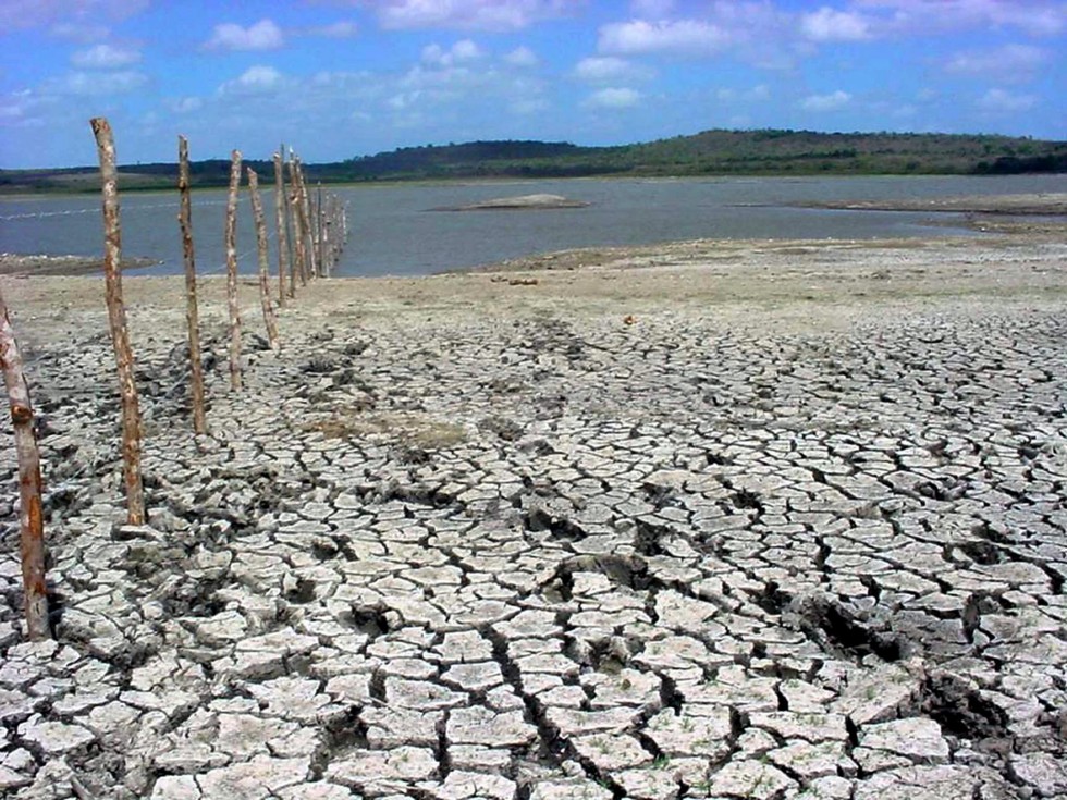 Agricoltura-Coldiretti: i danni di ondate di calore e siccità