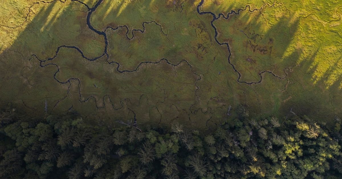 La Repubblica tutela ambiente, biodiversità ed ecosistemi