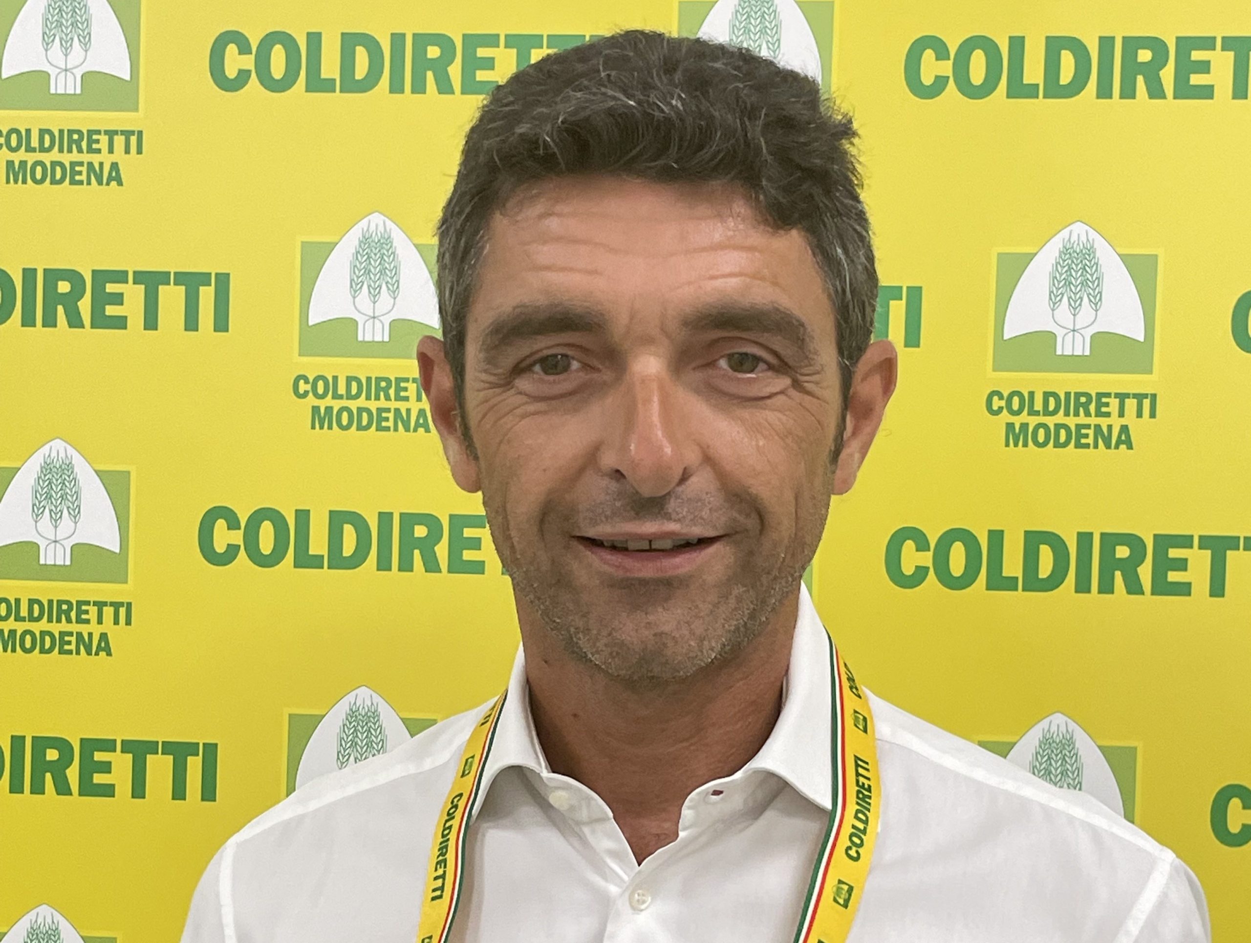 Coldiretti Al Via Vendemmia Con 10 Di Produzione Notizie Di Carpi News