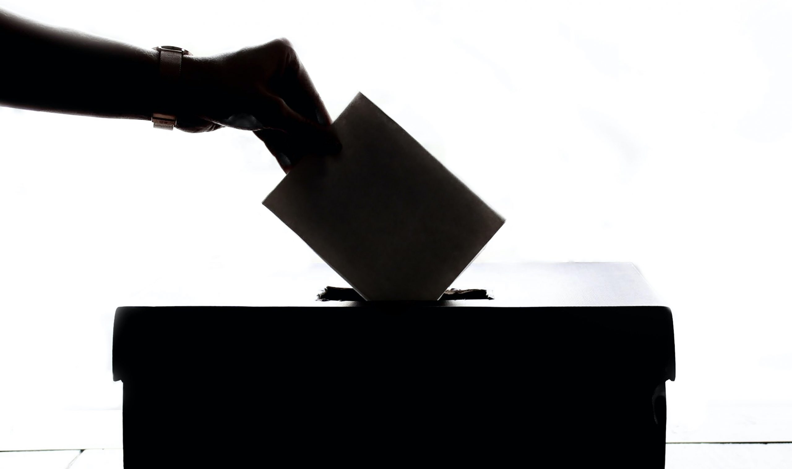 Guida al voto, come votare per Camera e Senato