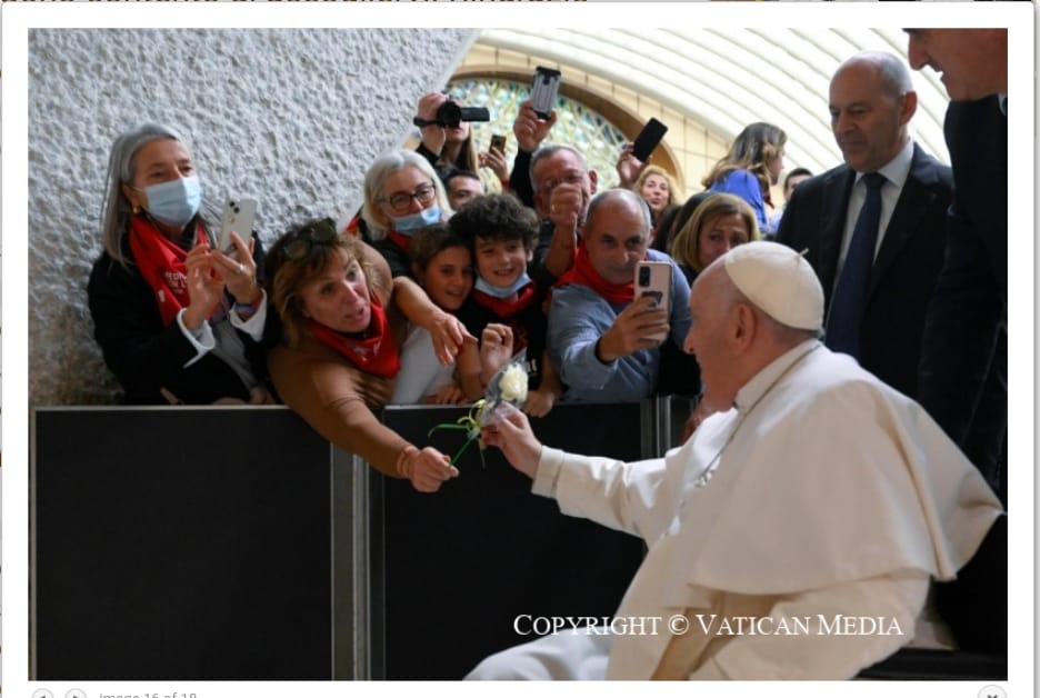 Una rosa di AMO per il Santo Padre
