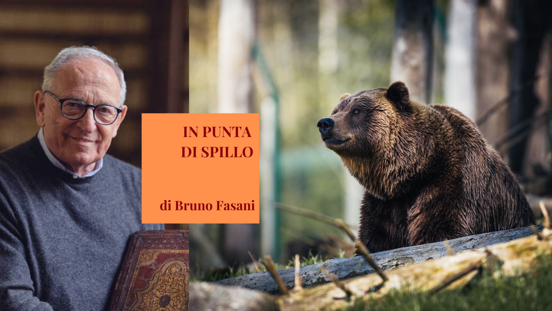 No all’eutanasia per gli orsi mentre in Olanda la si reclama a partire fin dalla nascita